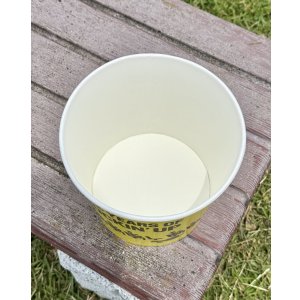 画像2: ファット・マイクさん直買い付けアイテム 20個限定 NOFX / "40 Years Of Fuckin' Up" Popcorn Bucket