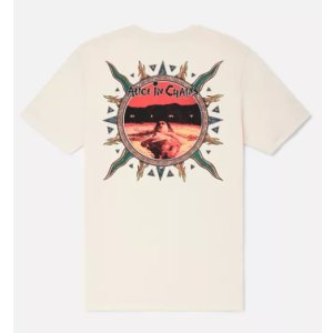 画像9: カリフォルニア買付アイテム 送料無料 ALICE IN CHAINS / Vintage Dirt Sun Tシャツ ナチュラル