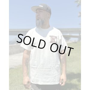 画像2: カリフォルニア買付アイテム 送料無料 M、Lサイズ各1枚づつで終了 ALICE IN CHAINS / Vintage Dirt Sun Tシャツ ナチュラル