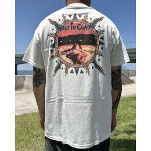 画像1: カリフォルニア買付アイテム 送料無料 ALICE IN CHAINS / Vintage Dirt Sun Tシャツ ナチュラル