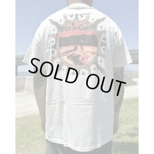 画像1: カリフォルニア買付アイテム 送料無料 M、Lサイズ各1枚づつで終了 ALICE IN CHAINS / Vintage Dirt Sun Tシャツ ナチュラル