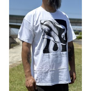 画像4: カリフォルニア買付アイテム 送料無料 DEFTONES / Private Music Tシャツ ホワイト