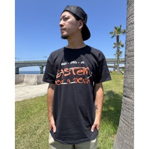 画像3: カリフォルニア買付アイテム 送料無料 M、Lサイズのみ SYSTEM OF A DOWN / Honey Temper Soil Tシャツ ブラック