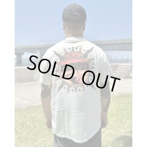 画像5: カリフォルニア買付アイテム 送料無料 M、Lサイズ各1枚づつで終了 ALICE IN CHAINS / Vintage Dirt Sun Tシャツ ナチュラル
