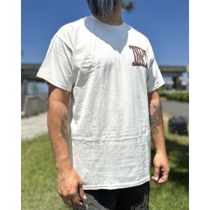 画像7: カリフォルニア買付アイテム 送料無料 ALICE IN CHAINS / Vintage Dirt Sun Tシャツ ナチュラル