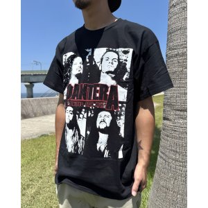 画像6: カリフォルニア買付アイテム 送料無料 PANTERA / Cowboys from Hell Tシャツ ブラック