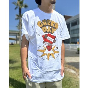 画像8: カリフォルニア買付アイテム 送料無料 GREEN DAY / Dookie Track List Tシャツ ホワイト