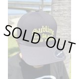カリフォルニア買付アイテム 送料無料 ラスト1枚で終了 プレミアムアイテム SUBLIME / Sound System フレックスフィットキャップ