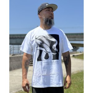 画像2: カリフォルニア買付アイテム 送料無料 DEFTONES / Private Music Tシャツ ホワイト