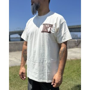 画像6: カリフォルニア買付アイテム 送料無料 ALICE IN CHAINS / Vintage Dirt Sun Tシャツ ナチュラル
