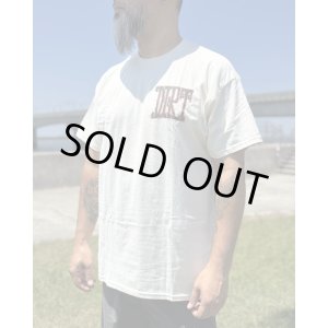 画像6: カリフォルニア買付アイテム 送料無料 M、Lサイズ各1枚づつで終了 ALICE IN CHAINS / Vintage Dirt Sun Tシャツ ナチュラル