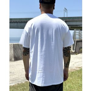 画像6: カリフォルニア買付アイテム 送料無料 DEFTONES / Private Music Tシャツ ホワイト