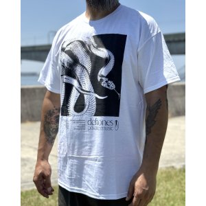 画像5: カリフォルニア買付アイテム 送料無料 DEFTONES / Private Music Tシャツ ホワイト