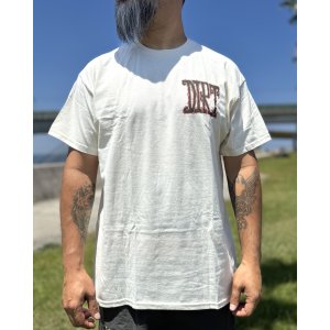 画像8: カリフォルニア買付アイテム 送料無料 ALICE IN CHAINS / Vintage Dirt Sun Tシャツ ナチュラル