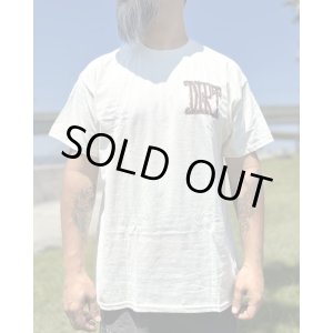 画像8: カリフォルニア買付アイテム 送料無料 M、Lサイズ各1枚づつで終了 ALICE IN CHAINS / Vintage Dirt Sun Tシャツ ナチュラル