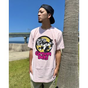 画像3: カリフォルニア買付アイテム 送料無料 GREEN DAY / Punk Cat Tシャツ ピンク