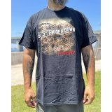 カリフォルニア買付アイテム 送料無料 SYSTEM OF A DOWN / Toxicity Tシャツ ブラック