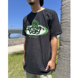 画像5: カリフォルニア買付アイテム 送料無料 L、XLサイズのみ GREEN DAY / Kerplunk! Tシャツ ブラック