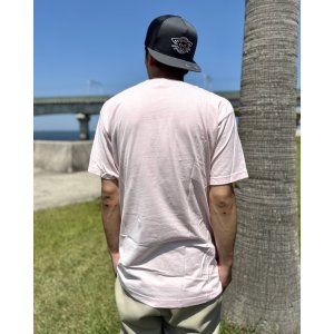 画像6: カリフォルニア買付アイテム 送料無料 GREEN DAY / Punk Cat Tシャツ ピンク