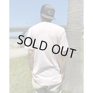 画像6: カリフォルニア買付アイテム 送料無料 XLラスト1枚で終了 GREEN DAY / Punk Cat Tシャツ ピンク