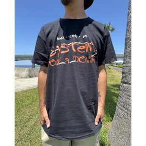画像9: カリフォルニア買付アイテム 送料無料 M、Lサイズのみ SYSTEM OF A DOWN / Honey Temper Soil Tシャツ ブラック