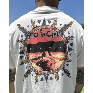 画像3: カリフォルニア買付アイテム 送料無料 ALICE IN CHAINS / Vintage Dirt Sun Tシャツ ナチュラル