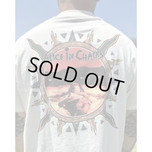 画像3: カリフォルニア買付アイテム 送料無料 M、Lサイズ各1枚づつで終了 ALICE IN CHAINS / Vintage Dirt Sun Tシャツ ナチュラル