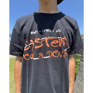 画像4: カリフォルニア買付アイテム 送料無料 M、Lサイズのみ SYSTEM OF A DOWN / Honey Temper Soil Tシャツ ブラック