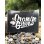 画像1: ORANGE GROVE / Logo ステッカー (1)