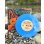 画像3: 激レア 数量限定 カラー盤 7インチ レコード LEFT COAST SOUND / EASY PILL (JACKSON WETHERBEE & SURFER GIRL) (3)