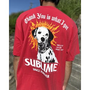 画像4: 送料無料 激レア プレミアム入荷 オフィシャルコラボT 日本での取り扱いは当店のみ SUBLIME x Thank You Collective / Lou Dog Tシャツ レッド