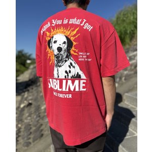 画像3: 送料無料 激レア プレミアム入荷 オフィシャルコラボT 日本での取り扱いは当店のみ SUBLIME x Thank You Collective / Lou Dog Tシャツ レッド