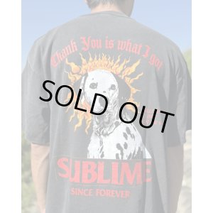 画像9: 送料無料 激レア プレミアム入荷 オフィシャルコラボT 日本での取り扱いは当店のみ SUBLIME x Thank You Collective / Lou Dog Tシャツ ヴィンテージブラック