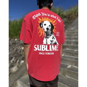 画像5: 送料無料 激レア プレミアム入荷 オフィシャルコラボT 日本での取り扱いは当店のみ SUBLIME x Thank You Collective / Lou Dog Tシャツ レッド