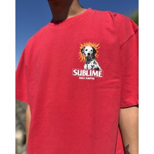 画像7: 送料無料 激レア プレミアム入荷 オフィシャルコラボT 日本での取り扱いは当店のみ SUBLIME x Thank You Collective / Lou Dog Tシャツ レッド