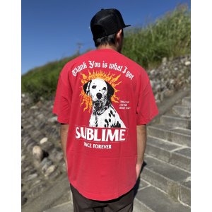 画像2: 送料無料 激レア プレミアム入荷 オフィシャルコラボT 日本での取り扱いは当店のみ SUBLIME x Thank You Collective / Lou Dog Tシャツ レッド
