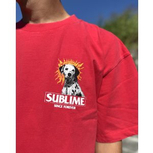 画像8: 送料無料 激レア プレミアム入荷 オフィシャルコラボT 日本での取り扱いは当店のみ SUBLIME x Thank You Collective / Lou Dog Tシャツ レッド