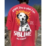 送料無料 激レア プレミアム入荷 オフィシャルコラボT 日本での取り扱いは当店のみ SUBLIME x Thank You Collective / Lou Dog Tシャツ レッド