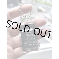 ラスト1個で終了 DESCENDENTS / Lucite アクリルキーホルダー
