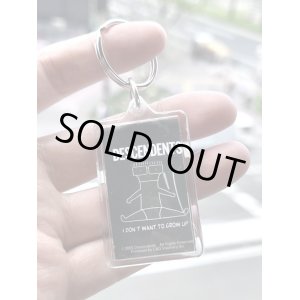 画像1: ラスト1個で終了 DESCENDENTS / Lucite アクリルキーホルダー