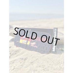 画像5: ラスト1個で終了 SNOOP DOGG / Doggystyle 3D蓋付きローリングトレー