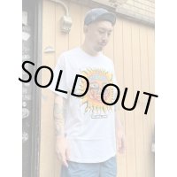 送料無料 REEFERS by SUBLIME / SUN Tシャツ WHITE