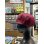 画像5: FUCKIN' MELLOW CLOTHING / Long Beach Posse スナップバックキャップ BLACKｘBURGUNDY