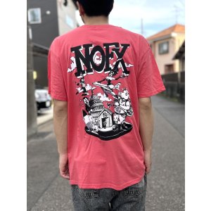 画像3: 送料無料 NOFX "Final Tour Last Merch" / Allbums Tシャツ (made in USA)