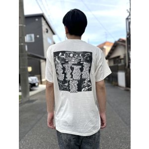 画像7: 送料無料 NOFX "Final Tour Last Merch" / OG Skull Tシャツ (made in USA)