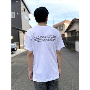 画像4: 送料無料 NOFX "Final Tour Last Merch" / Friend of NOFX Tシャツ (made in USA)