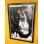 画像1: ラスト1枚で終了 NIRVANA / Kurt Cobain Japan 1992 ポスター (84cm x 60cm) (1)