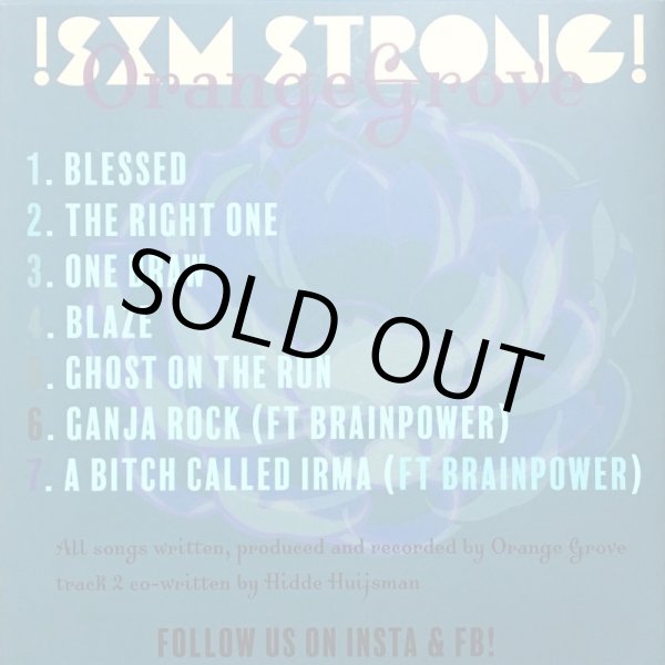 画像2: ORANGE GROVE / A Bistch Called Irma  (オランダ) (2)