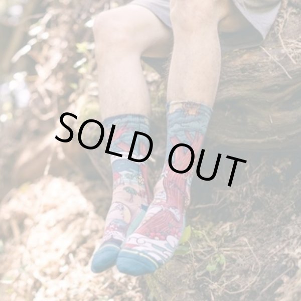 画像7: MERGE4 SOCKS / Bradley's House Tree ソックス (7)