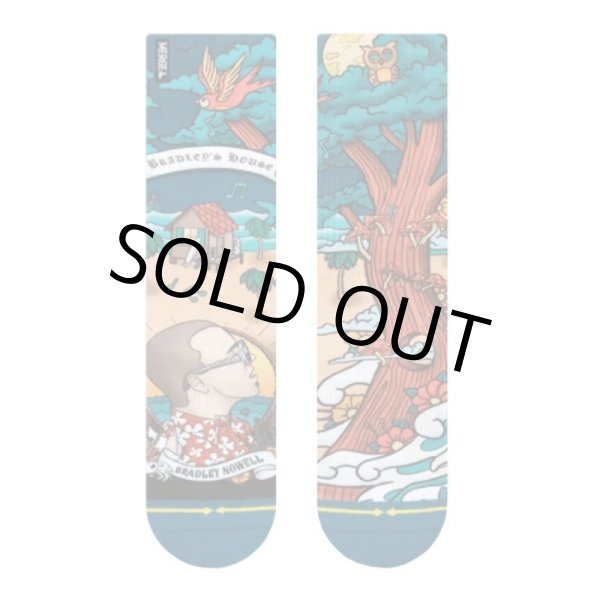 画像8: MERGE4 SOCKS / Bradley's House Tree ソックス (8)